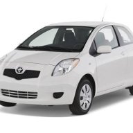 yarisguy
