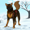 Dasker Wolf